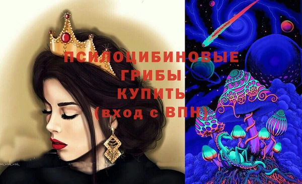 шишки Алексеевка