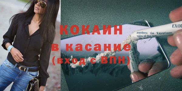 шишки Алексеевка