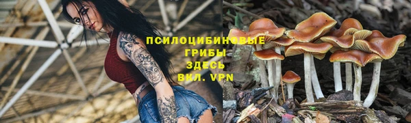 бутират Алзамай