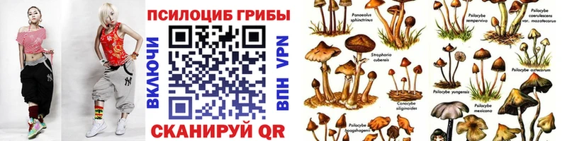 omg маркетплейс  Беслан  Галлюциногенные грибы мухоморы 